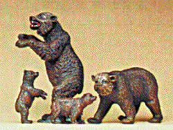 CVR Picture for Brown Bears /4