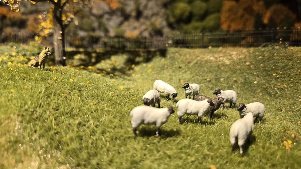 CVR Picture for Herd of Sheep w/Shepherd