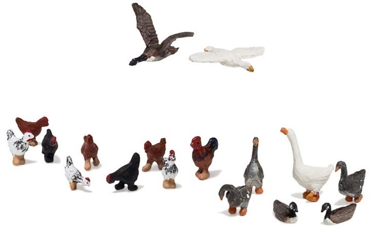 CVR Picture for 8Geese & 9Chickens