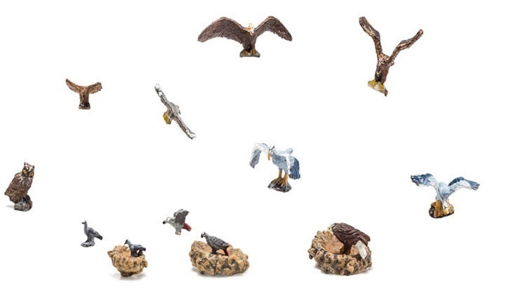 CVR Picture for 12Birds & 3Nests