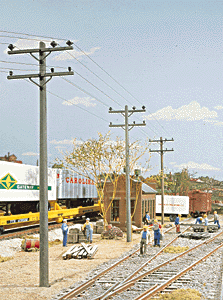 CVR Picture for Utility Pole Set /24