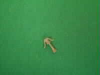 CVR Picture for Bell, Steam Bell front